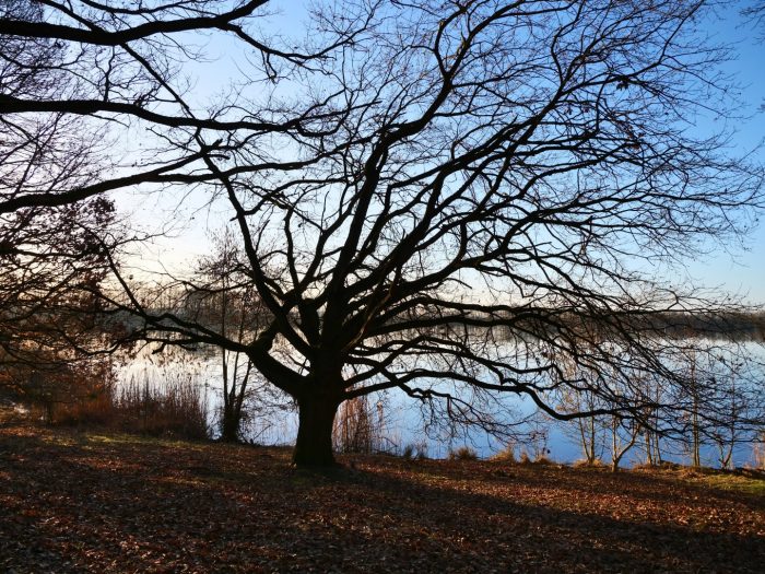 Sachsensee Obbornhofen/Bellersheim